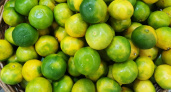 Зеленые мандарины замечены на полках нижегородских магазинов