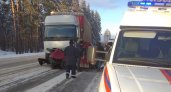 Двое детей пострадали в ДТП в Нижегородской области