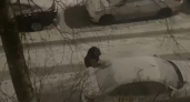 Незнакомец разбивал стекла припаркованным машинам в Нижнем Новгороде