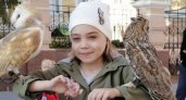 В Госдуме рассмотрят закон после смерти нижегородской девочки