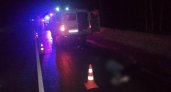 В Нижегородской области водитель сбил пешехода, сидящего на трассе