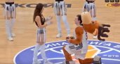 Талисман сделал предложение руки и сердца во время баскетбольного матча в Нижнем Новгороде