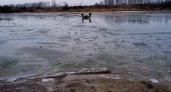 Два рыбака провалились под лед в Нижегородской области: спасли только одного