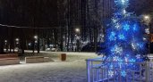 Одну из елок защитили забором от вандалов в Нижнем Новгороде 