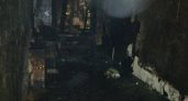 Пожарные спасли 20 нижегородцев из огня: жильцы просили о помощи из окон