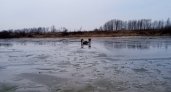 Когда рыбалка стала последней: несколько человек погибли, выйдя на лед