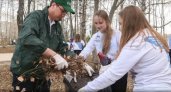 В Нижнем Новгороде пройдет субботник “Чисто. Культурно”.