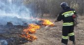 Огонь перекинулся с травы на жилые дома в Нижегородской области