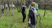 Работники АО «Транснефть-Верхняя Волга» приняли участие в экологическом субботнике