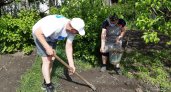 Жители Нижегородской области высаживают грядки Жириновского