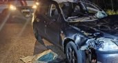 Четыре человека пострадали в ДТП с лосем в Нижегородской области