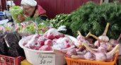 Нижегородские дачники продающие свой урожай: "Переживем санкции" 