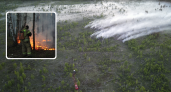 Появились кадры тушения крупного пожара в Керженском заповеднике
