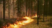 В Нижегородской области сохранится высокая пожароопасность лесов
