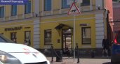 "Осторожно, кошки": в Нижнем Новгороде появился необычный предупреждающий знак