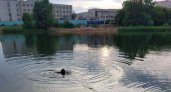 В Нижнем Новгороде на Силикатном озере утонул молодой парень