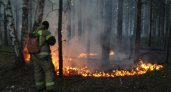 Во время учебных стрельб в Нижегородской области загорелся лес