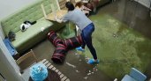 В Нижнем Новгороде затопило котокафе