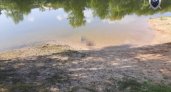 В Арзамасе водолазы два дня искали тело утонувшего в пруду мужчины 