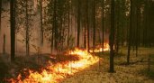 В Воротынском районе пожар в лесу увеличился до 2,8 тысячи га