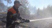 В Воротынском районе Нижегородской области лесной пожар достиг  6100 га