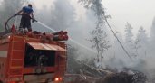 В Нижегородской области из-за лесных пожаров введут региональный режим ЧС