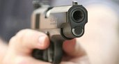В Кулебаках мужчина выстрелил в маленькую девочку из оружия 
