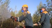 В Воротынском районе площадь активного горения снизилась до 70 га