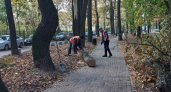 В Нижнем Новгороде после сильного ветра убирают поваленные деревья 