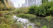 Очищение реки в Нижнем Новгороде проконтролируют жители