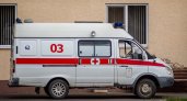 В Белгородской области террористы расстреляли 11 военнослужащих