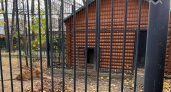 В Гострудинспекции рассказали, как львица смогла добраться до работницы зоопарка и напасть