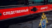 Жительница Дзержинска смертельно ранила сына и вызвала медиков