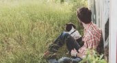 Что делать человеку, если он нижегородец и хочет завести собаку