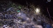 Пропавшего из Лукоянова мужчину нашли мертвым: у реки лежал завернутым в плед