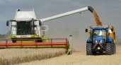 40 тысяч тонн зерна заложено на хранение в государственный интервенционный фонд в регионе