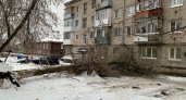 В Нижнем Новгороде упавшее дерево поломало балконы в жилом доме