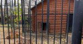 В Нижегородской области будут судить работника зоопарка, где львица напала на женщину