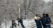 Ледяной дождь оставил глубокий след в Нижегородской области: разбираться с ним еще месяц