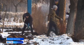 В Нижнем Новгороде сажают кусты барбариса даже в мороз