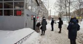 По Нижегородской области гуляет свиной грипп, и школы закрываются на карантин
