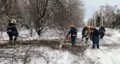 Последствия ледяных дождей в нижегородской области разгребут до Нового года
