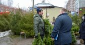 Штрафы грозят четырем продавцам елок в Нижем Новгороде