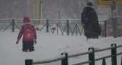 - 5 и небольшой снег вечером: новогодних морозов не ожидается в Нижнем Новгороде