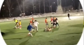 Нижегородские футболисты устроили массовую драку прямо на поле