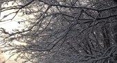 14 февраля нижегородцев ждет снежная и прохладная погода