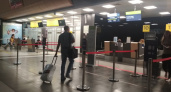 В аэропорту Москвы поймали нижегородского преступника