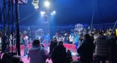 Нижегородский цирк бесплатно покажет представления для семей беженцев с Донбасса