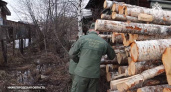 Убийство трех человек на нижегородской лесопилке в 90-х раскрыли спустя 24 года