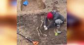 В Арзамасском районе раскопали скелеты древних людей